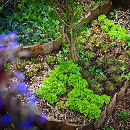 Organic Garden Πανσιόν