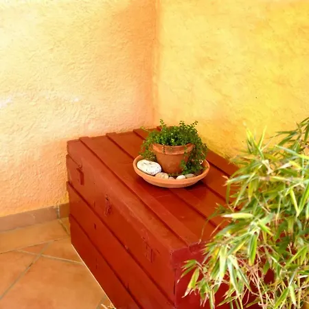 Organic Garden