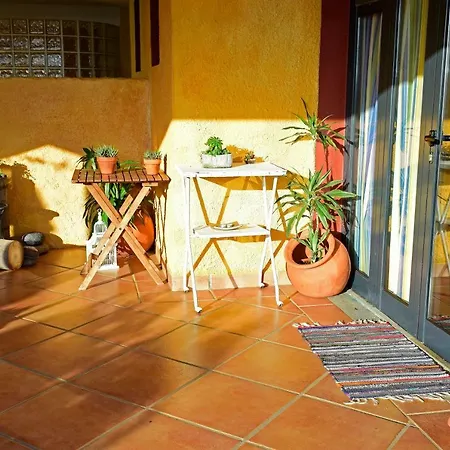 Πανσιόν Organic Garden