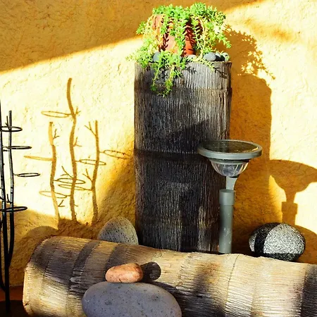 Organic Garden Πανσιόν Φουνκάλ
