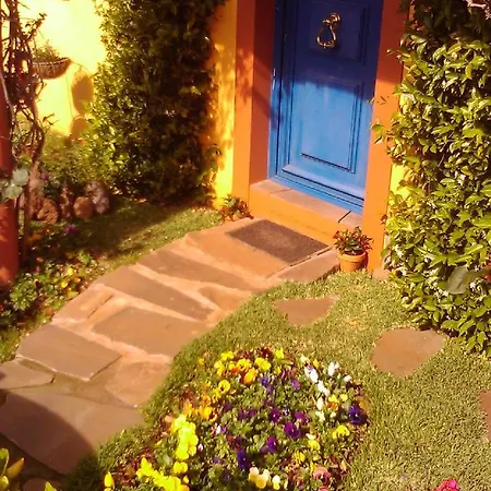 Organic Garden