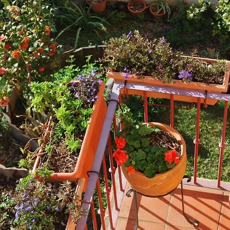Organic Garden Πανσιόν Φουνκάλ
