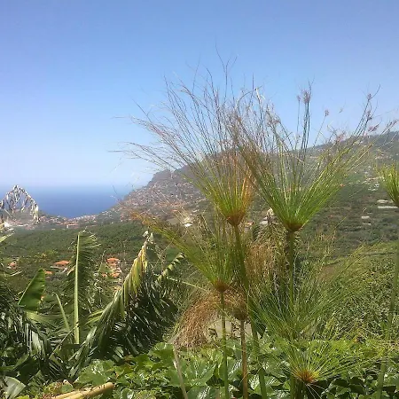 Πανσιόν Organic Garden *