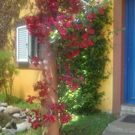 Organic Garden